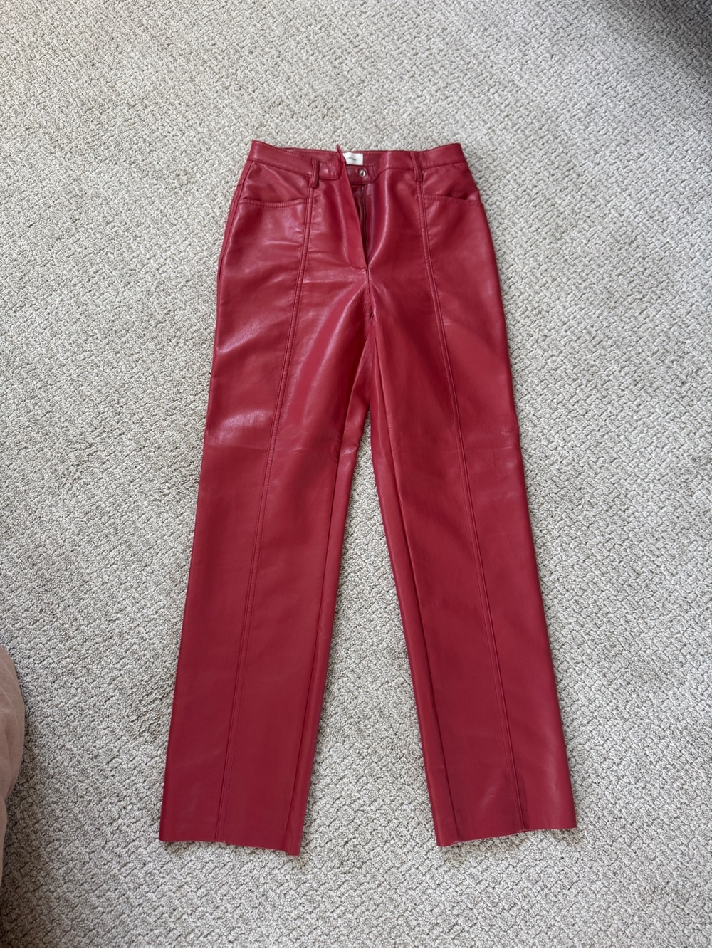 Aritzia Melina High-Rise Faux Leather Pants